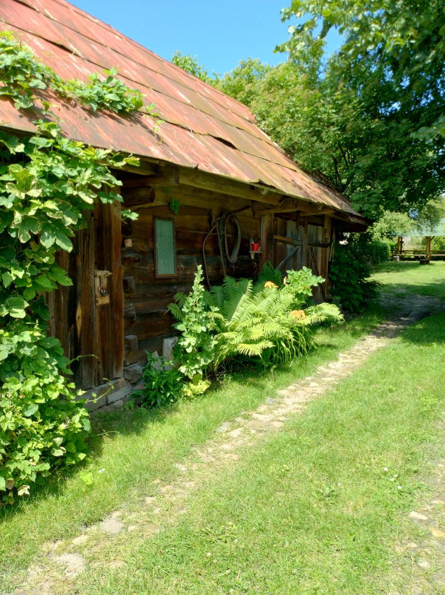 Dom Sloneczko Pokoje Do Wynajecia W Bialowiezy Białowieża Buitenkant foto