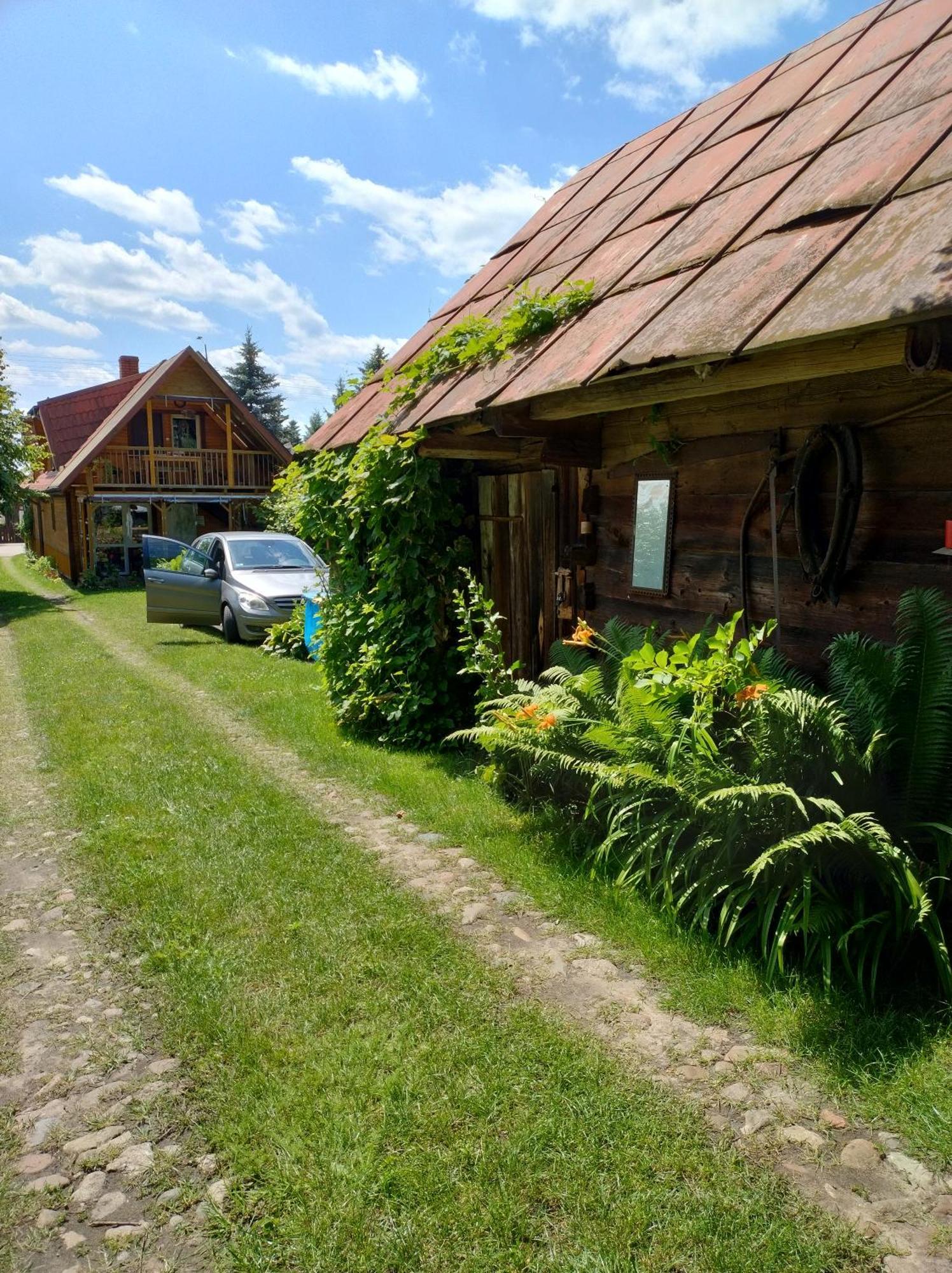 Dom Sloneczko Pokoje Do Wynajecia W Bialowiezy Białowieża Buitenkant foto